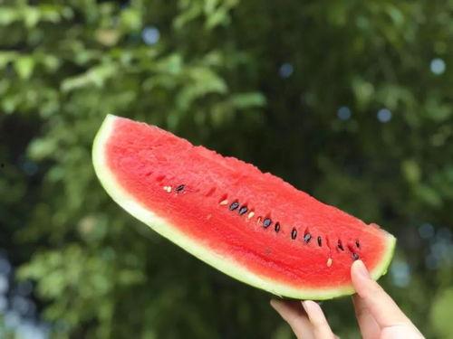 有一个网站可以免费吃瓜,畅享网络娱乐新体验 第2张 有一个网站可以免费吃瓜,畅享网络娱乐新体验 第2张